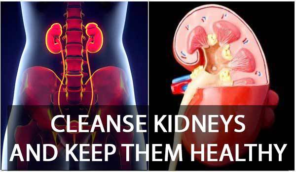 how to flush kidneys and bladder how to flush kidneys with water how to flush kidneys and liver kidney cleanse home remedy kidney flush recipe kidney detox symptoms kidney flush procedure kidney cleanse tea