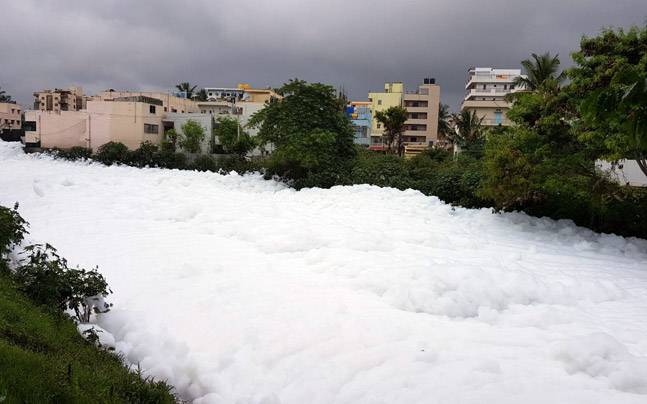 Bellandur Lake