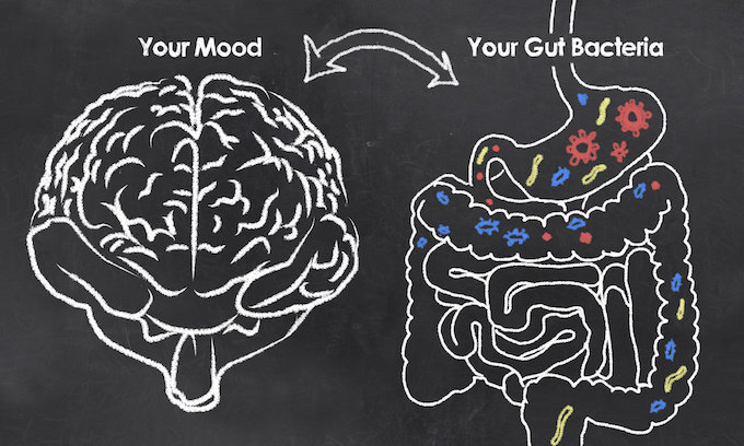 Gut Bacteria and Mental Health,How Probiotics Help Reduce Anxiety, Can Eating Fermented Foods Reduce Social Anxiety, What You Can Do to Manage Anxiety, social anxiety and nutrition, sauerkraut anxiety, kefir cured my anxiety, fermented foods, probiotic foods, ultra-jarro-dophilus anxiety, fermented foods and mental health, fermented foods probiotics