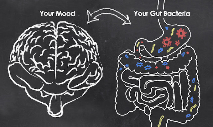 Gut Bacteria and Mental Health,How Probiotics Help Reduce Anxiety, Can Eating Fermented Foods Reduce Social Anxiety, What You Can Do to Manage Anxiety, social anxiety and nutrition, sauerkraut anxiety, kefir cured my anxiety, fermented foods, probiotic foods, ultra-jarro-dophilus anxiety, fermented foods and mental health, fermented foods probiotics