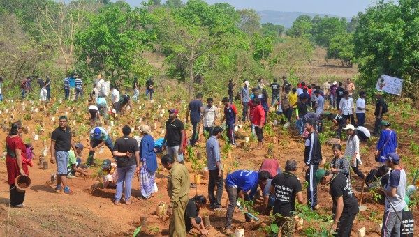 planting trees every sunday