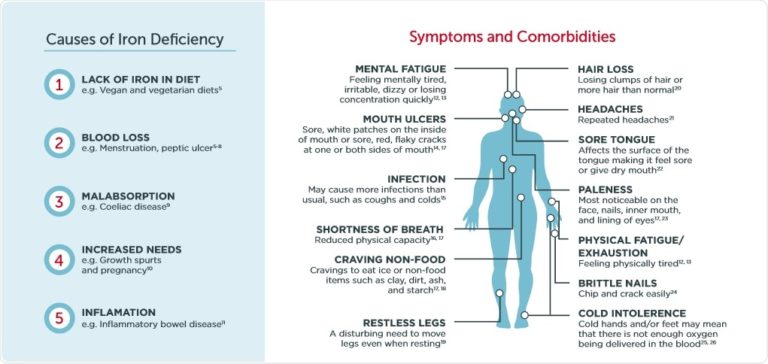 Anemia and Iron Deficiency Signs, Symptoms, Diet Supplements