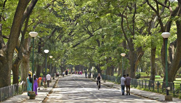 Bangalore's Lung Space