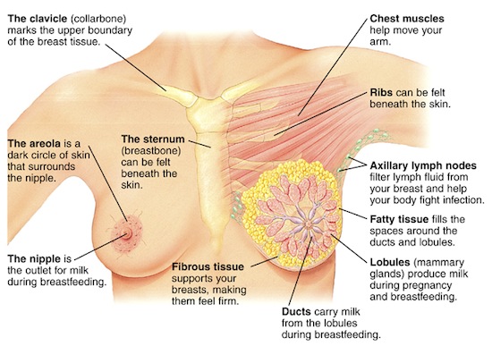 EARLY SIGNS AND SYMPTOMS OF BREAST CANCER