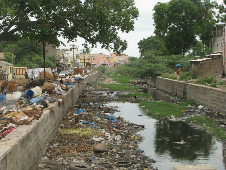 bangalore Toxic Sewage Water