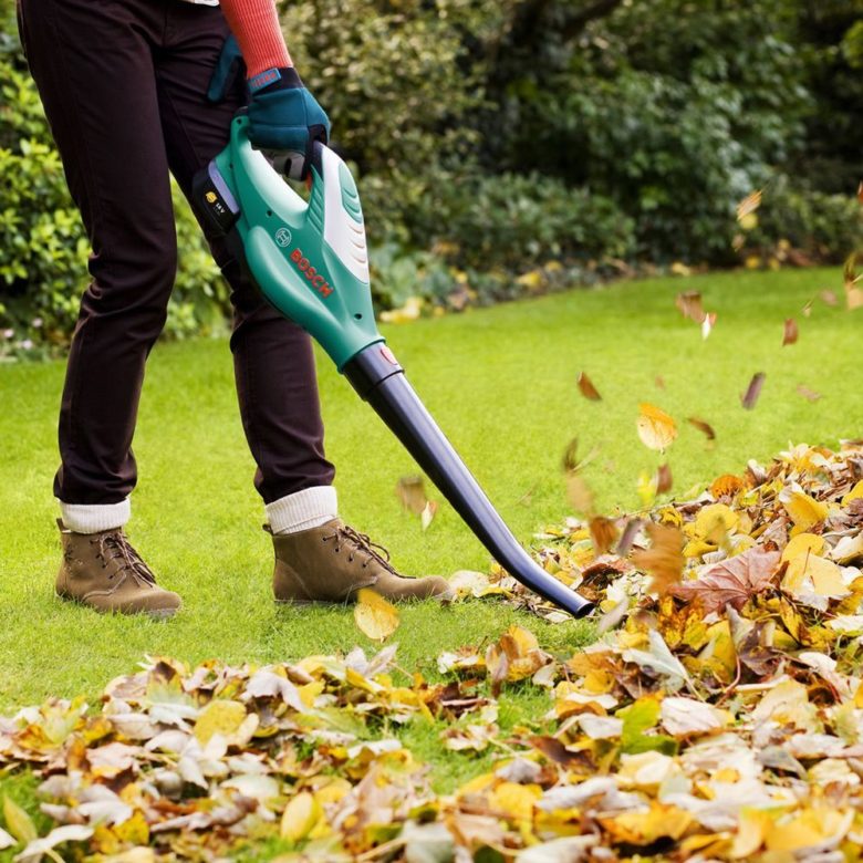 Basic tools for garden cleaning