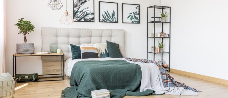 Best plants for your bedroom