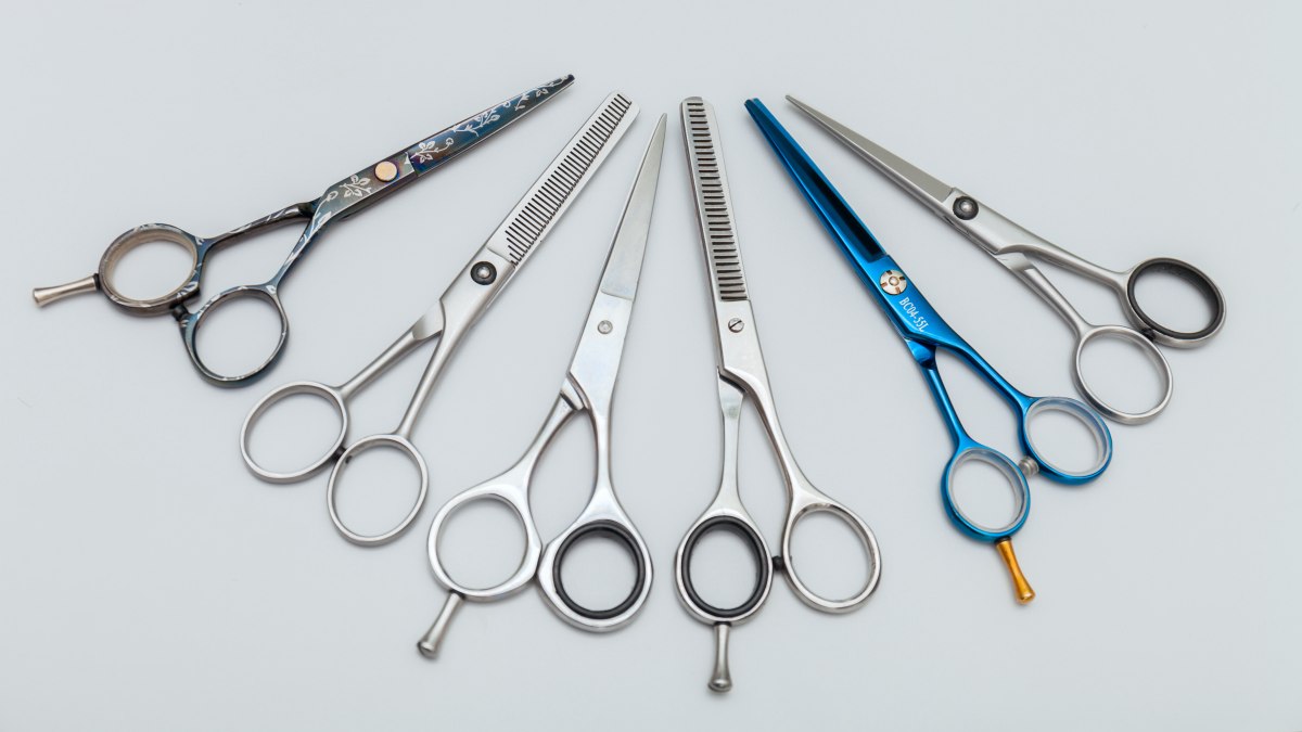 4 Best Hair Cutting Shears in 2024 - Times Lifestyle