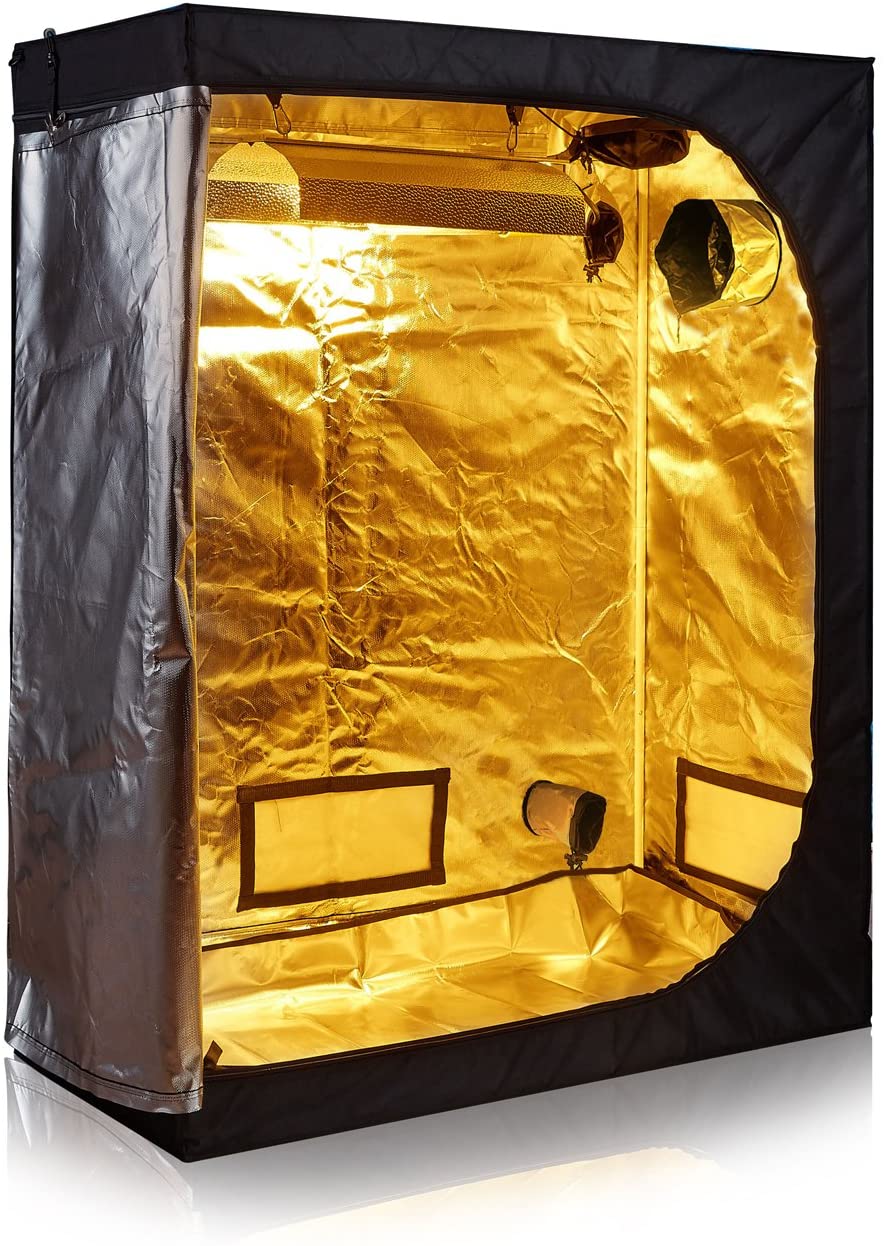 What to Look for When Choosing a Grow Tent - Times Lifestyle