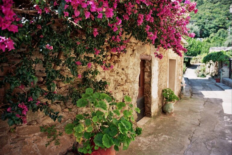 Spring at Corsica